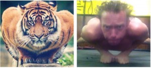 Tiger Strength Training